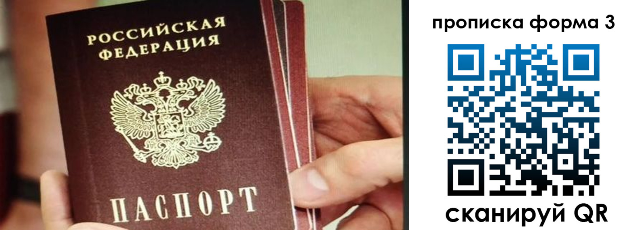 прописка законно в Торопеце
